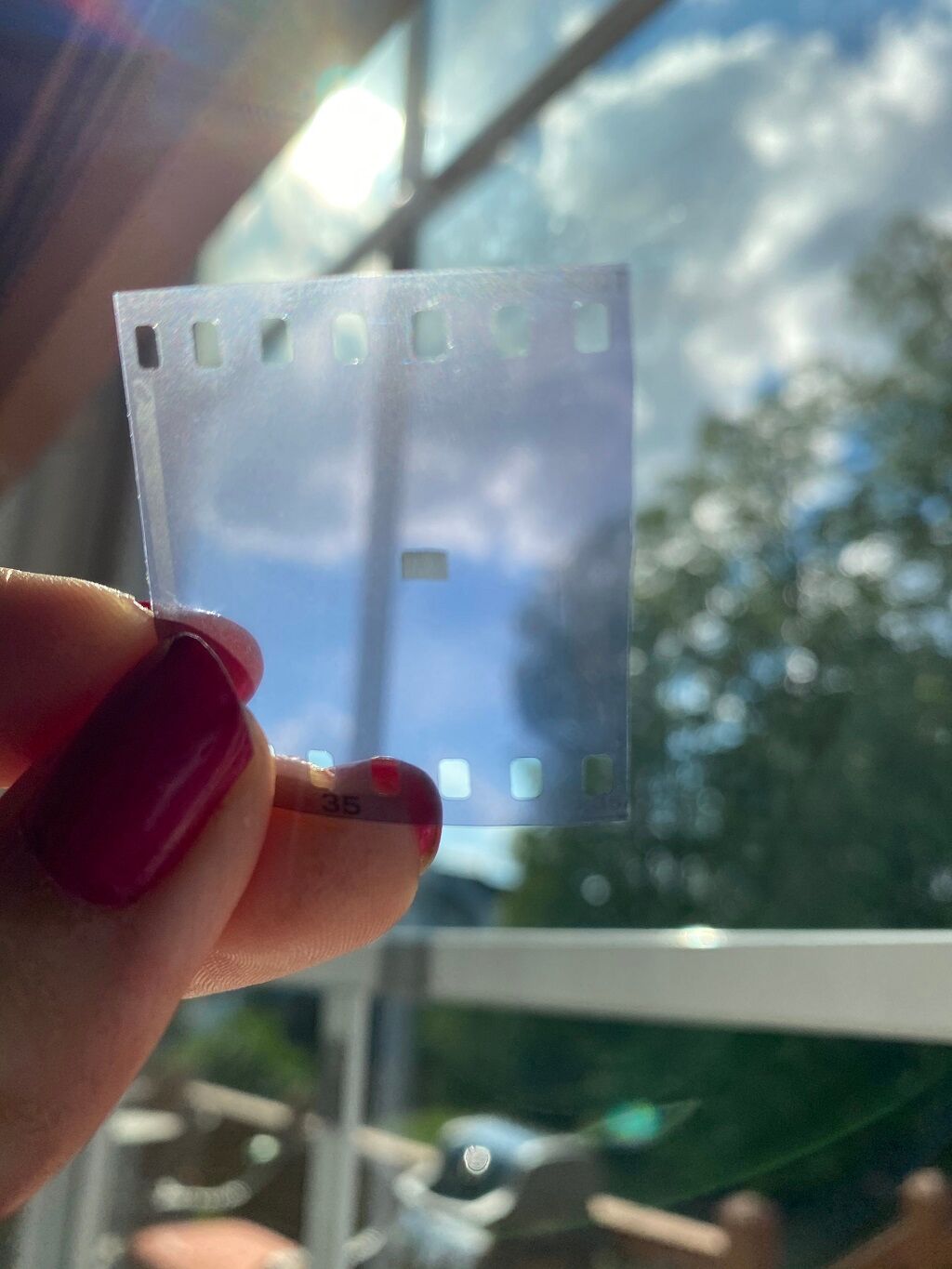 Mikrofilm